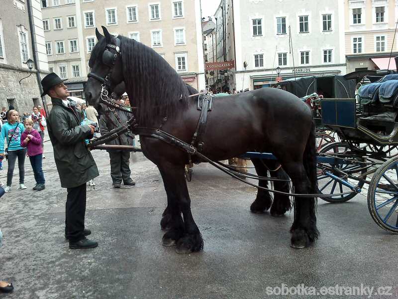 40_Salzburg_Rezidenzplatz_par_friskych_koni