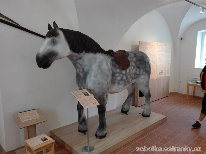 06_valecny_kun_destrier