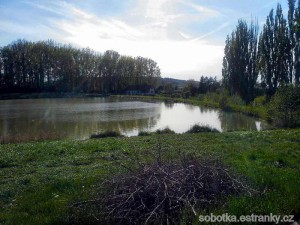 Domousnice - rybník u zámku