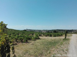30_opoustime_chateauneuf_du_pape.jpg