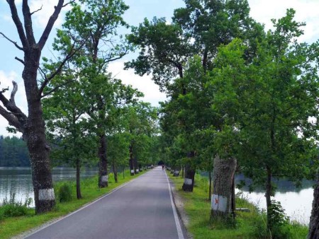 mezi rybníky Vyšehrad a Stolec