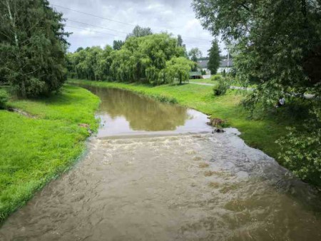 Ploučnice v Mimoni