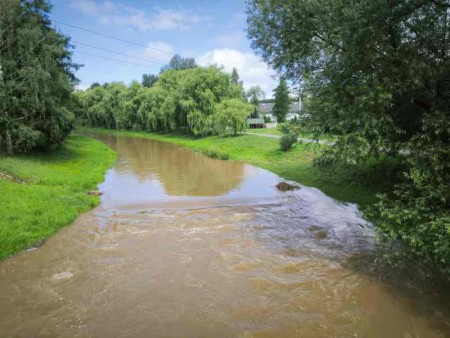 Ploučnice v Mimoni