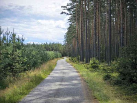 cyklostezka do Kuřivod