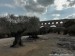 31_Pont_du_Gard_tisicilete_olivovniky